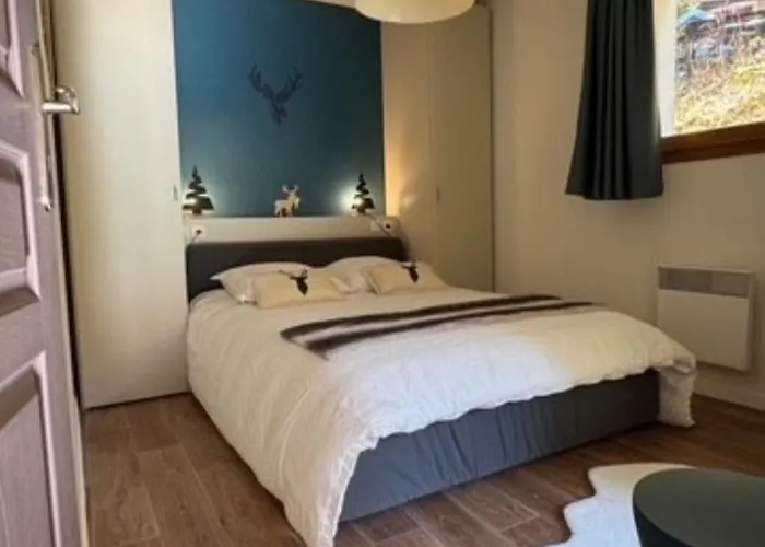 Daire Coeur Des Ours B N01 - 3p6 Les Deux Alpes